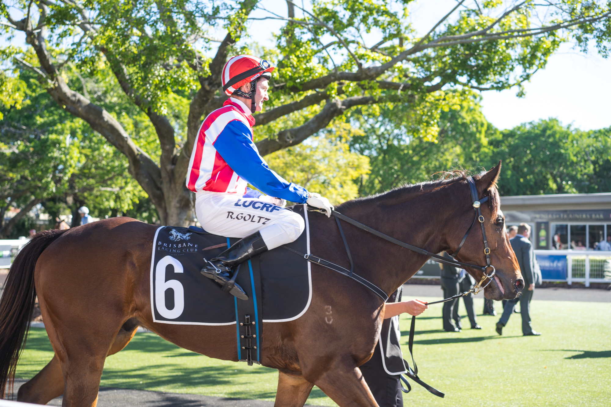 horse racing brisbane