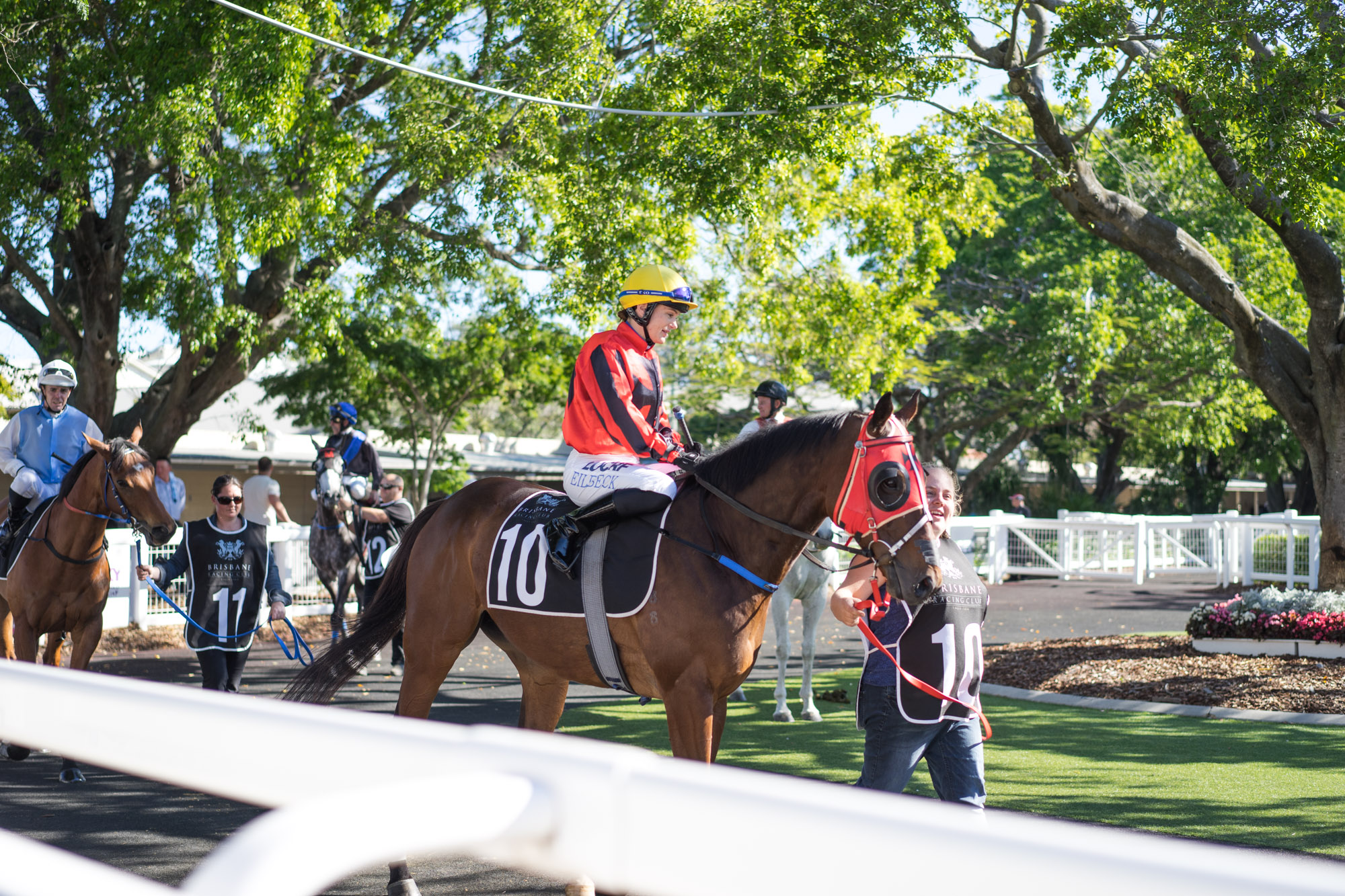 horse racing brisbane